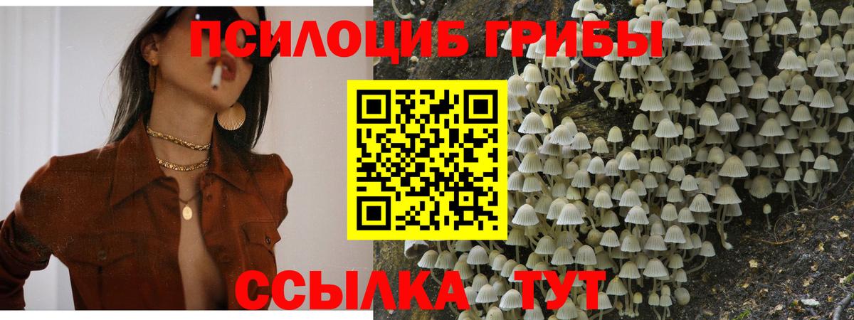 Заволжье  где найти наркотики  Вход с VPN  Галлюциногенные грибы ЛСД 